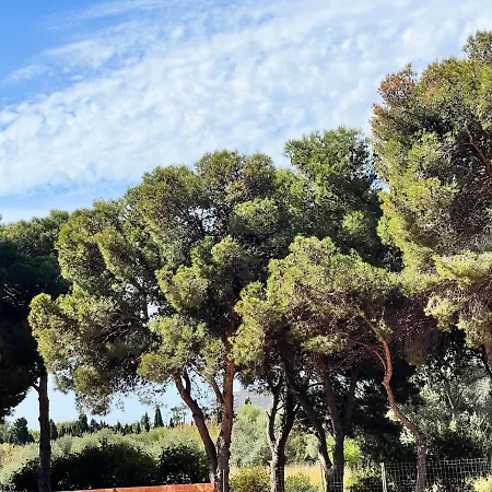 Hermoso Y Acogedor bien situado Apartment Oropesa del Mar